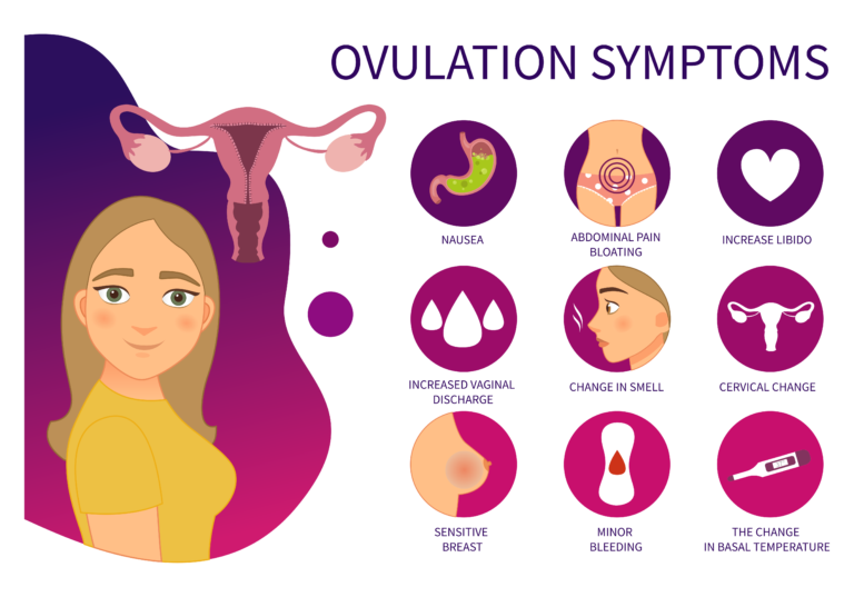 Ovulation signs and symptoms – Pharmed